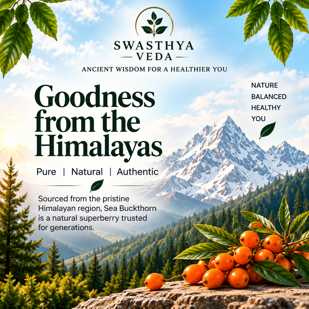 Swasthya Veda Himalayan Sea Buckthorn Juice – Nature’s Superberry | 500 ml