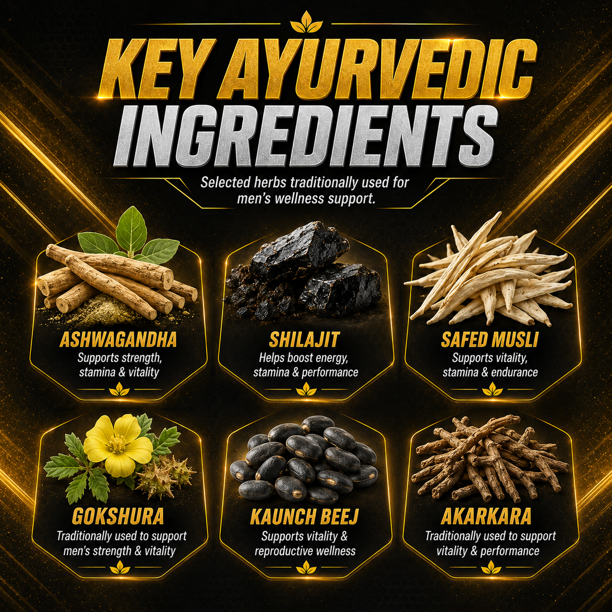 Swasthya Veda Power Boost – Men’s Performance Powder